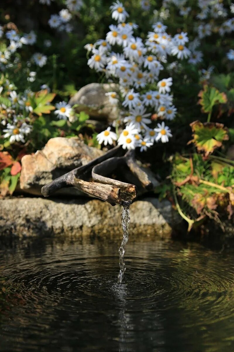 Родниковая вода