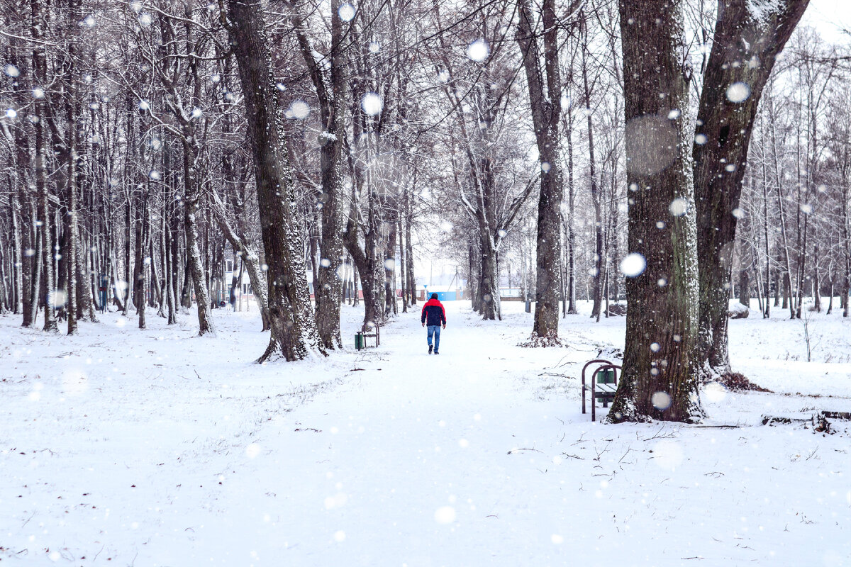 Свислочь, старый городской парк