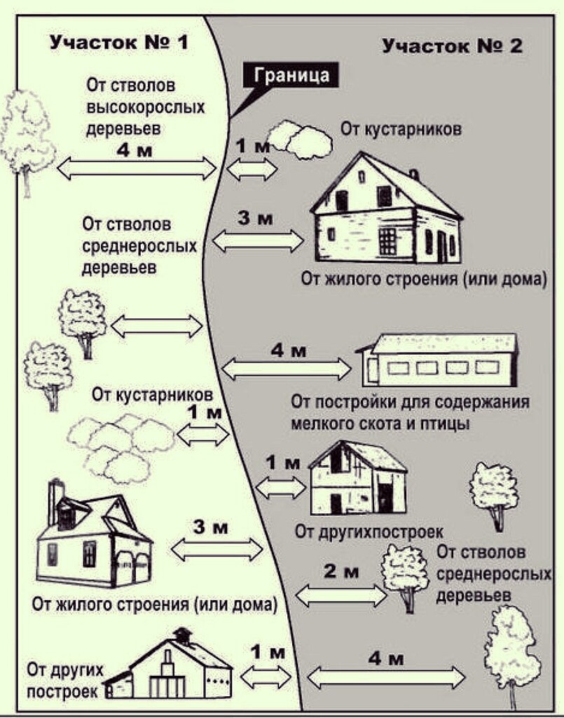 Если вы хотите разбить плодовый сад на участке, следуйте плану,  рекомендованному опытным агрономом | Эффективно и просто — комнатные  растения, сад и огород | Дзен