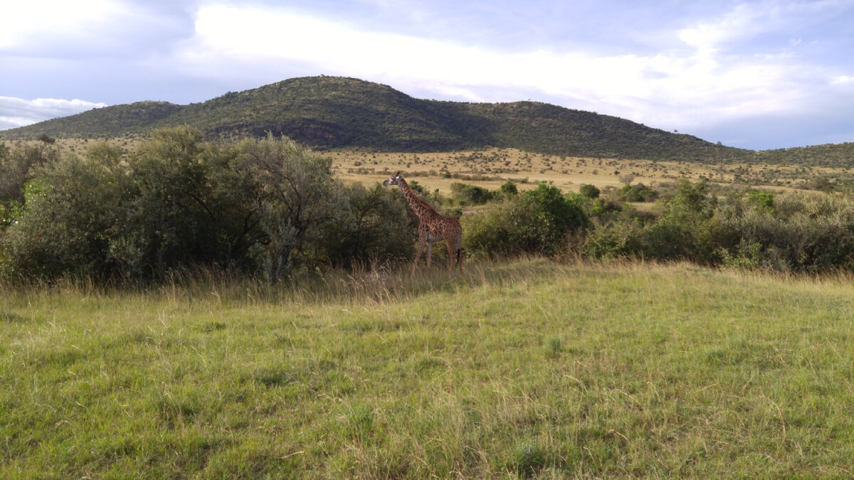 Фото из личного архива 