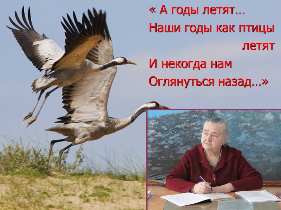 Быстро пролетит. А годы летят. А годы летят наши годы как птицы. Год к году. Стихи про года летят.