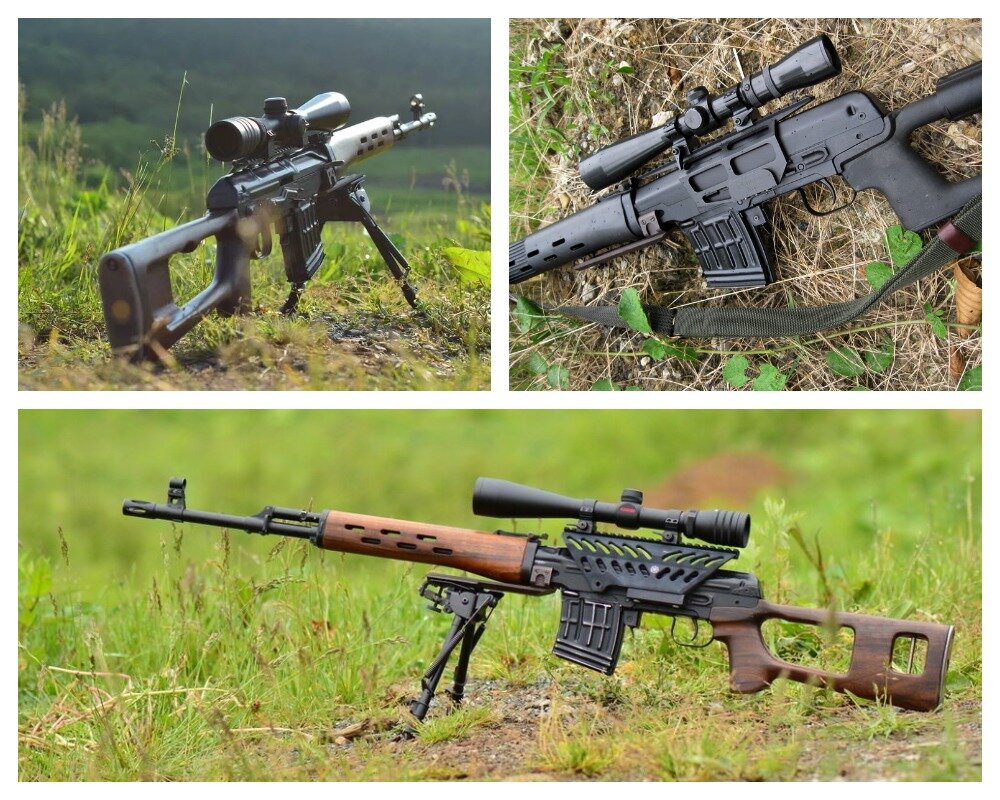 Тигр в естественной среде