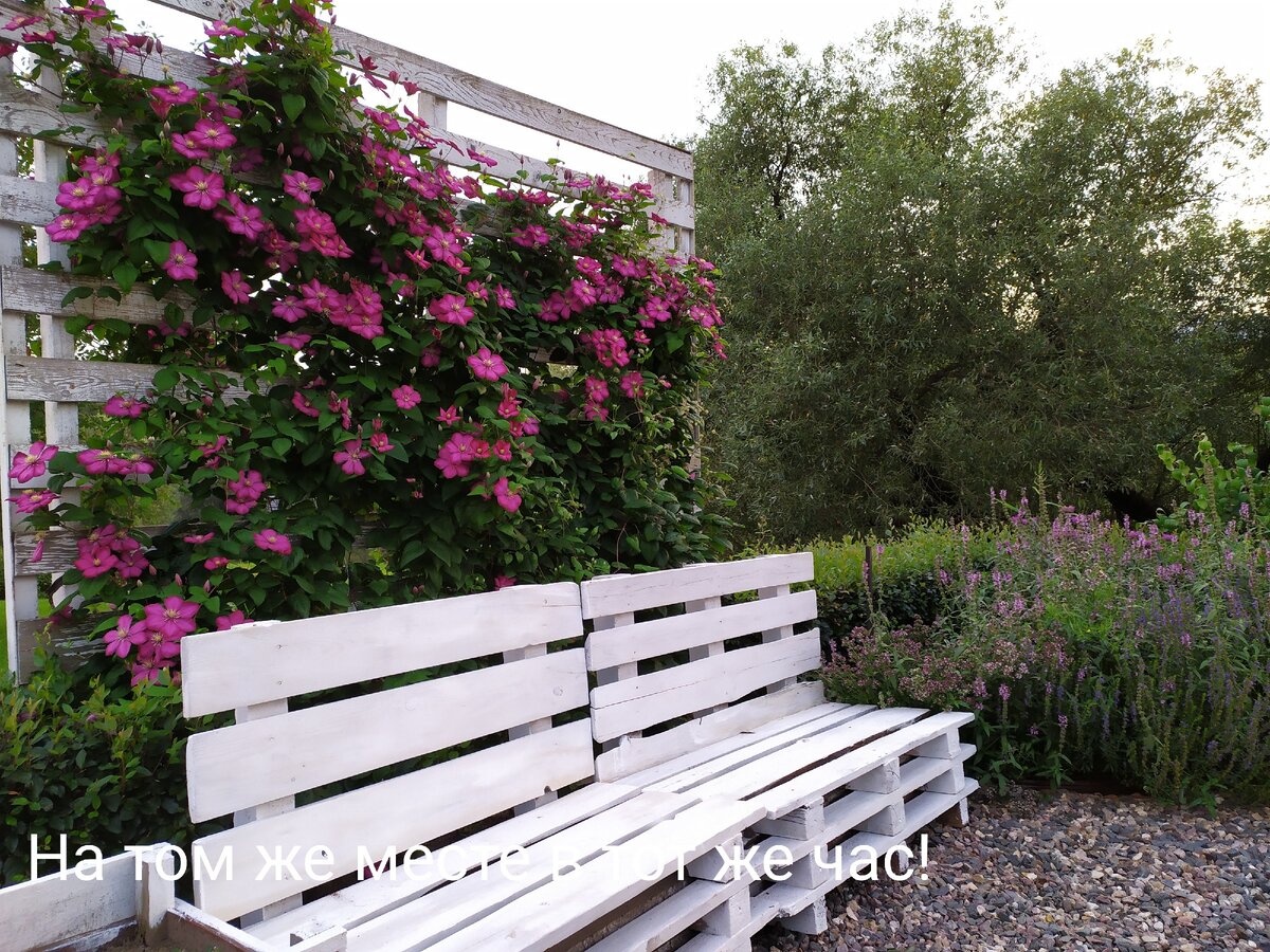 Помечтаем о отдыхе и лечение(фото автора) 