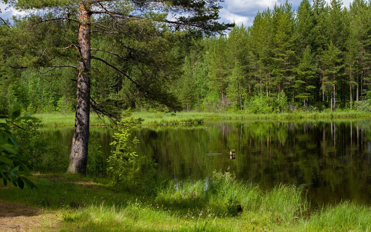 (Фото: Виктор Ванский)