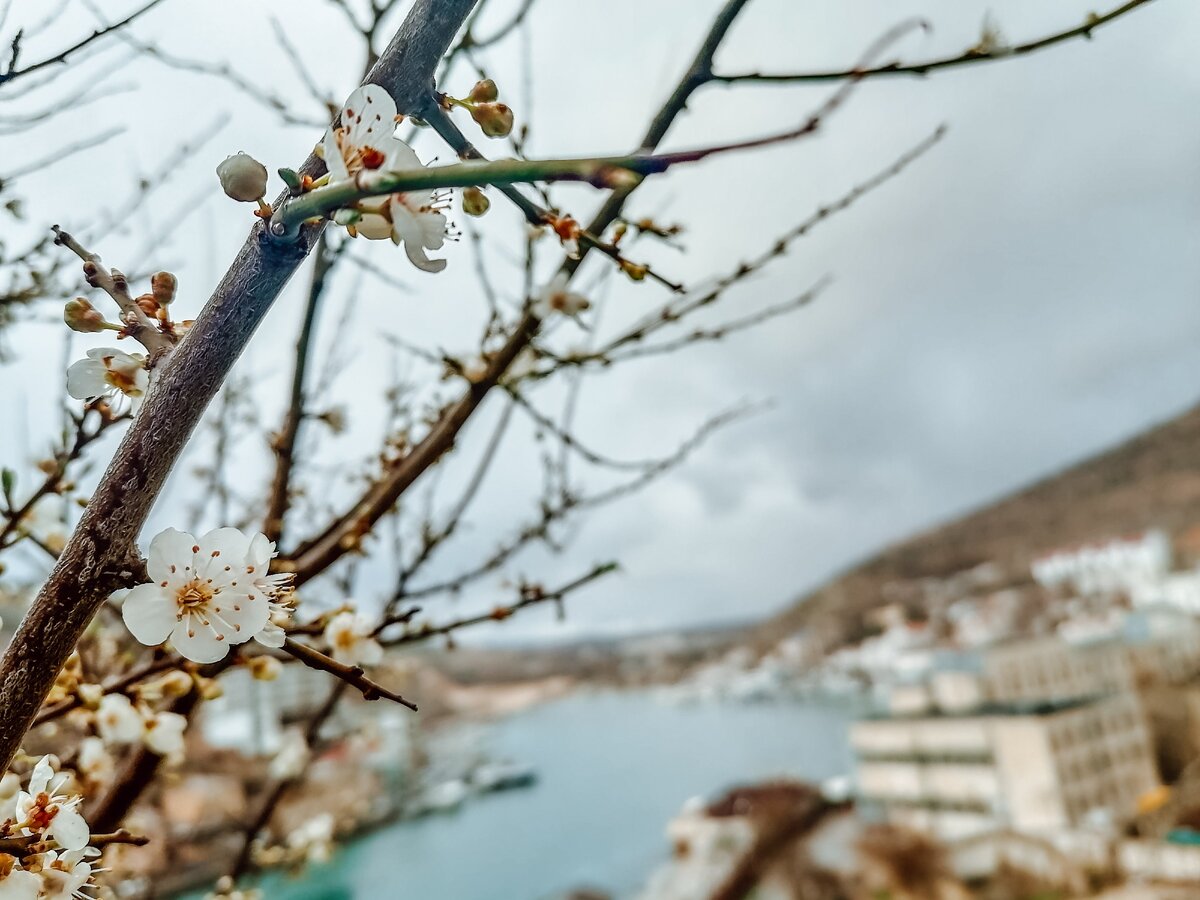 Балаклава, фото автора