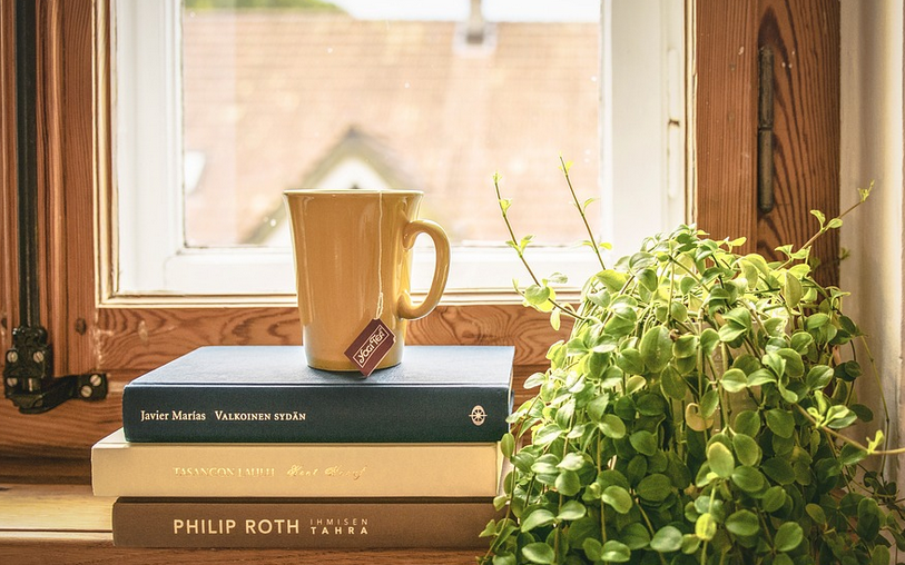 Источник - https://pixabay.com