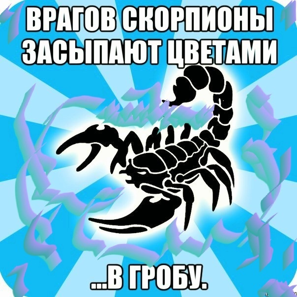 Фото яндекс 
