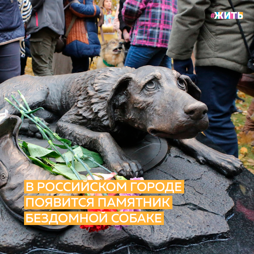 Жители города Долинска Сахалинской области решили установить памятник бездомной собаке. Таким способом россияне хотят увековечить историю об обычном, но запомнившемся местном питомце🐶 
Памятник должен появиться в парке Дружбы в мае или июне 2021 года. Установкой будет заниматься скульптор Владимир Чеботарев. По словам волонтеров, городская администрация одобрила идею. Монумент будет посвящен преданным бездомным животным.

Прототипом памятника стал пес по кличке Босс. В 2014 году его вместе с другими щенками родила бездомная собака породы хаски. Местная жительница нашла животных и пристроила их к разным хозяевам😌

Босса отдали в семью, которая проживала в селе Сокол. Однако через несколько лет собака оказалась на улице в Долинске — грелась в местных магазинах, гуляла с жителями и иногда ночевала у них.

А там где Вы живёте, есть памятники животным?

#жить #проектжить #животные