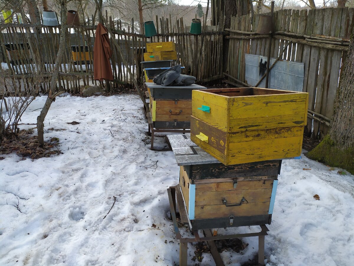 Разнесли магазины