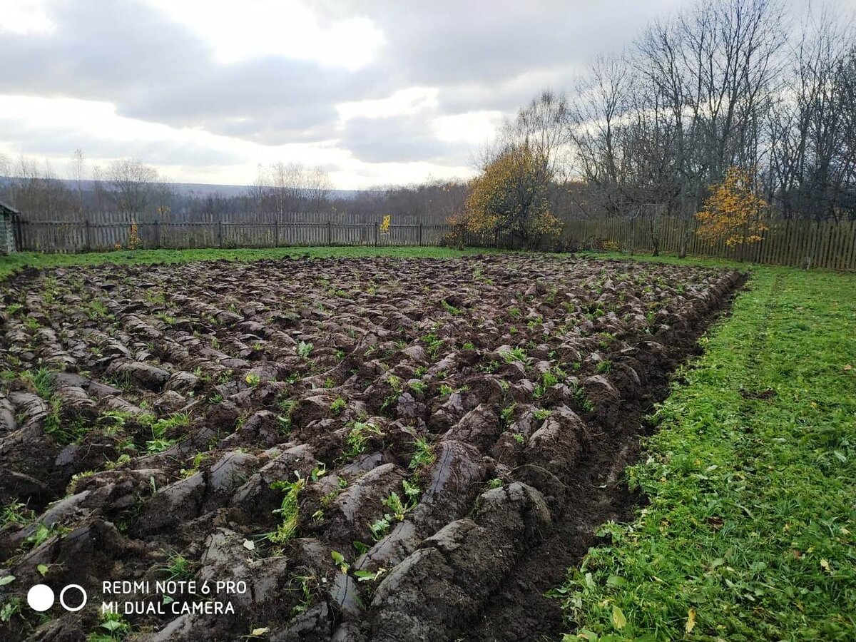 Распахали прошлой осенью трактором часть участка под картошку. Сойдет снег, будем еще раз просить тракториста вспахать участок