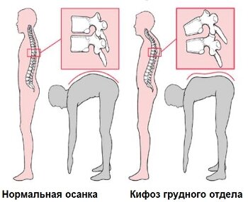 Общая информация