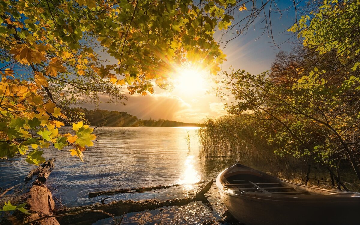 Яндекс картинки, свободный доступ