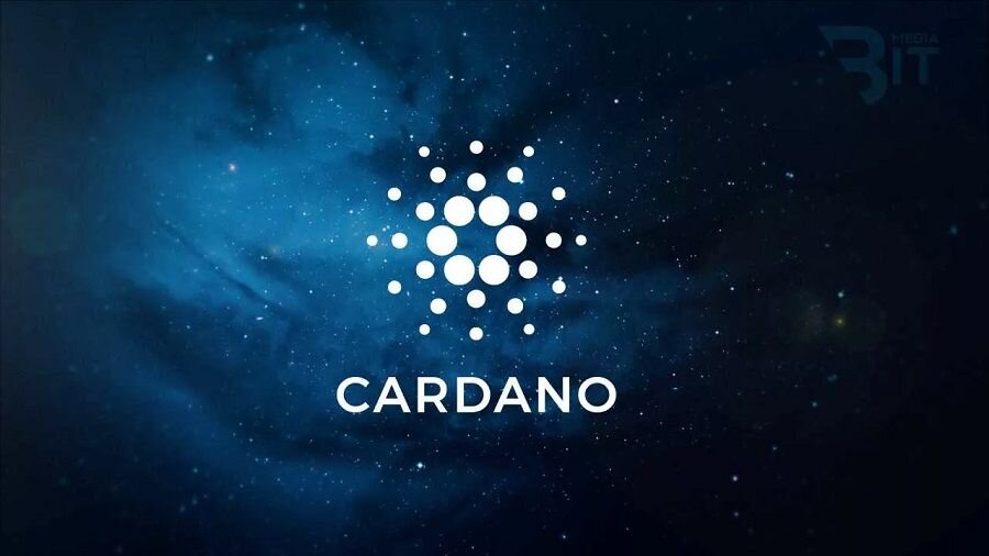 Когда была выпущена основная сеть cardano. Cardano ada команда создателей. Хардфорк. Cardano логотип. Сеть cardano.
