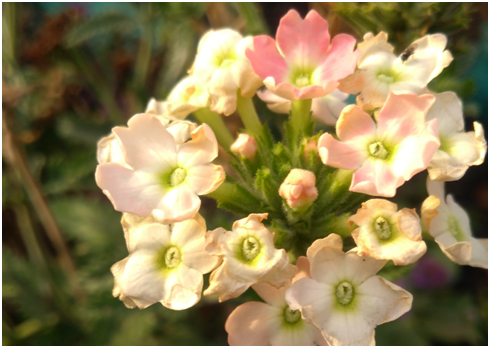 Ставьте лайки и подписывайтесь на мой канал