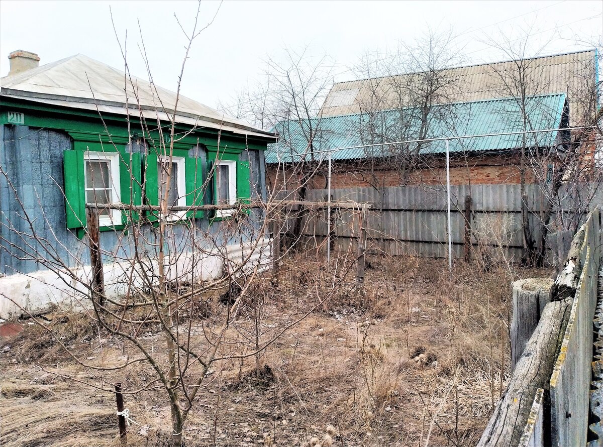 Эти три окна смотрят на сосны