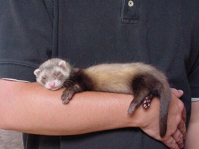 Источник pinterest.com 