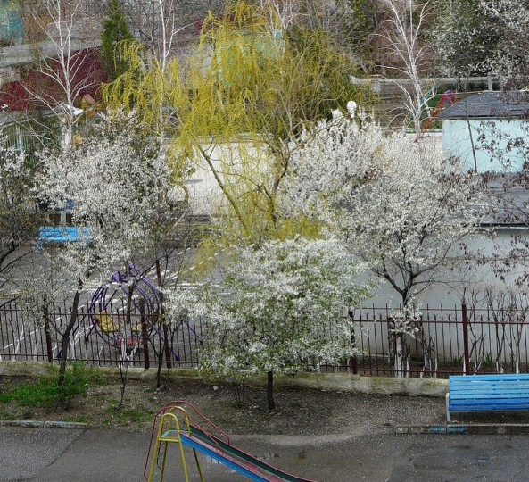 Стихотворение про зависимость от социальных сетей.