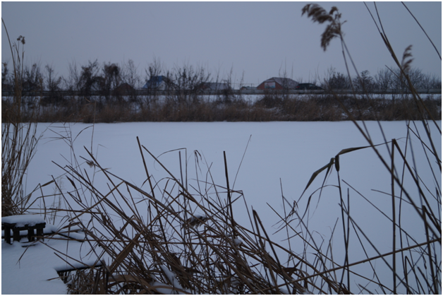 Такими были Кирпильцы в декабре 2016 года. Лёд встал, но был не крепок, мало снега.