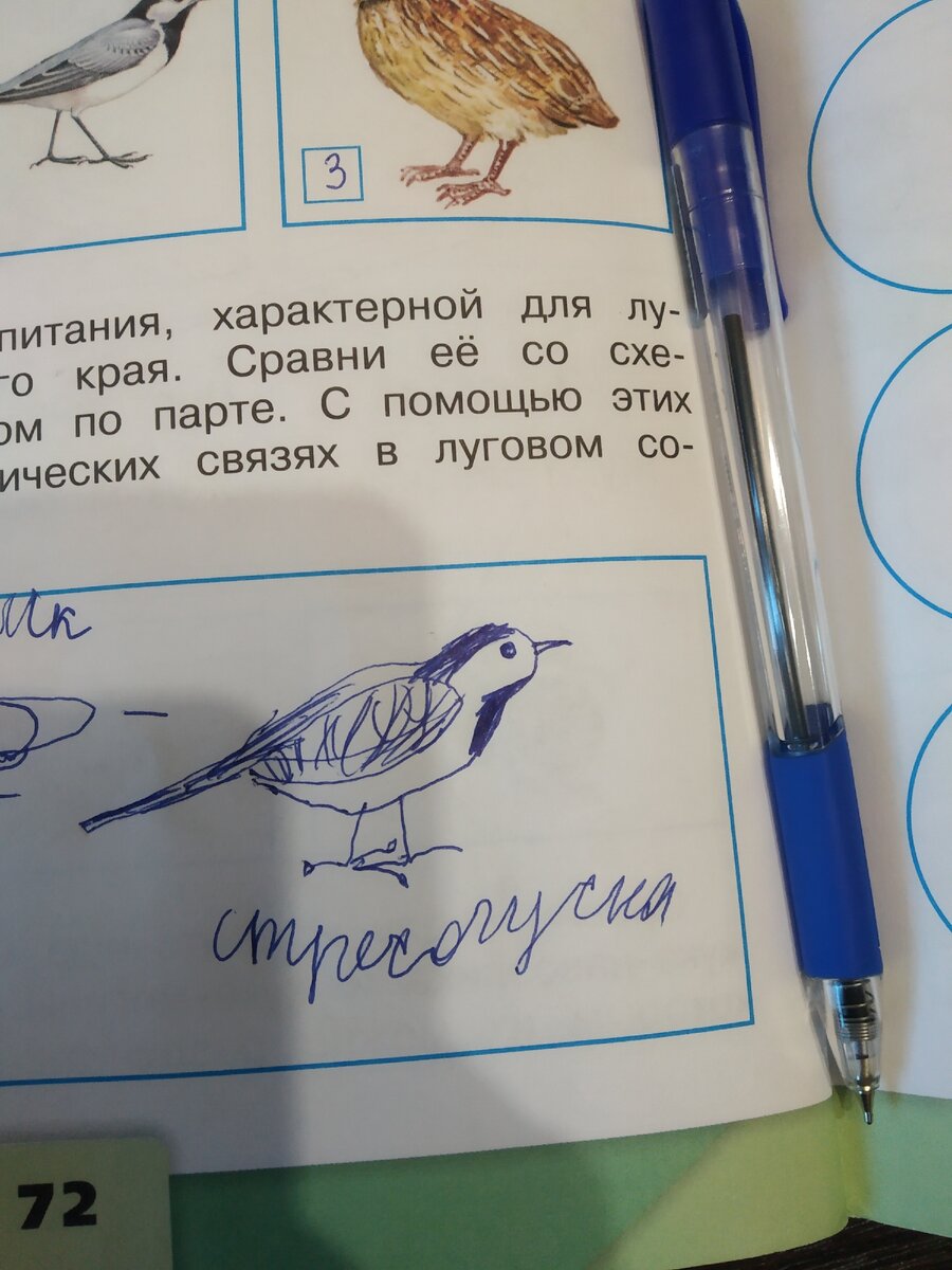 Мой ребенок думал, что птичка дрожит от постоянного стресса, отсюда и название. 