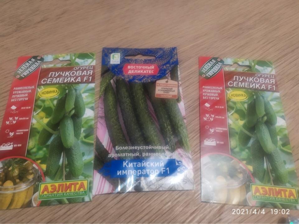 Мои семена огурцов на этот год 2021
