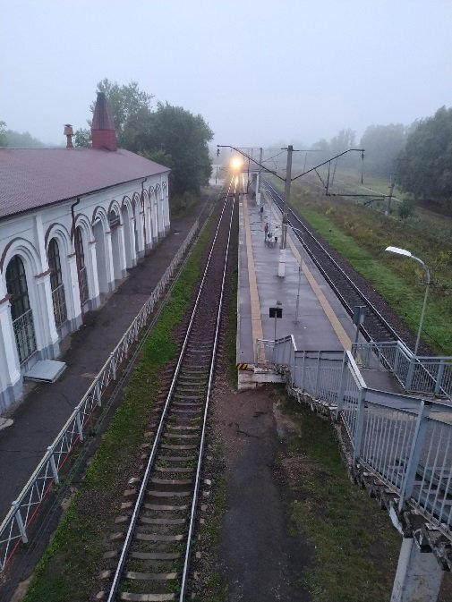  Станция Александровская. Фото из ВК-группы "Петербургский гражданин"