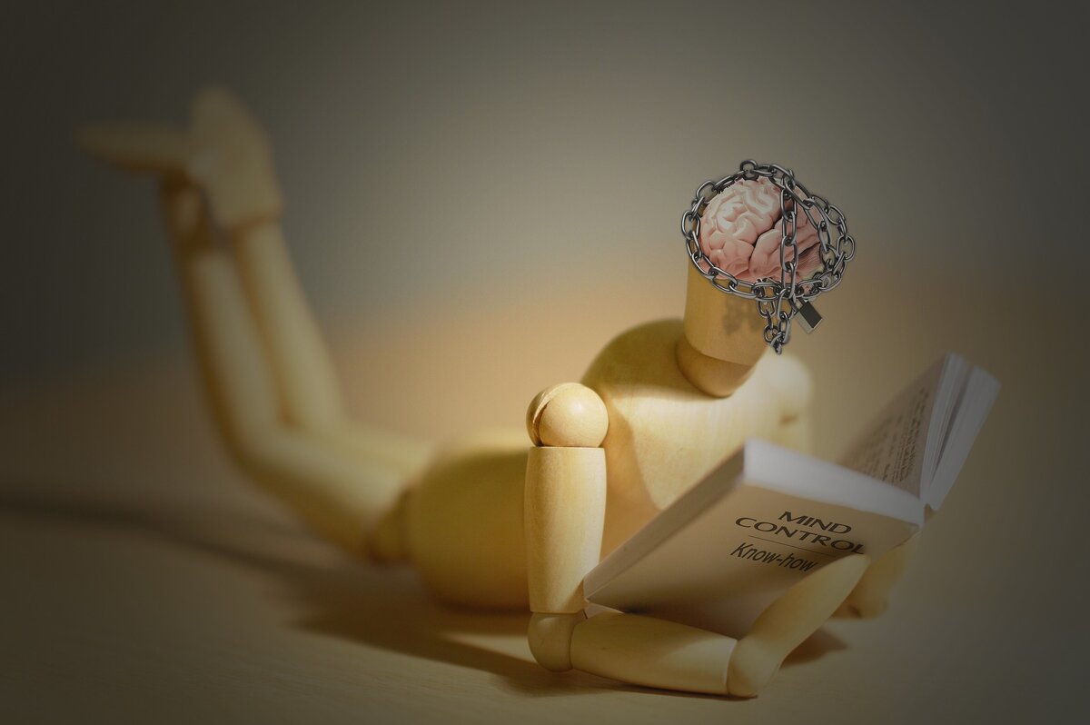 Взято с открытого источника: https://pixabay.com/
