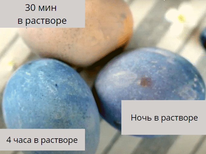 Посмотрите, как меняется интенсивность окрашивания в зависимости от времени