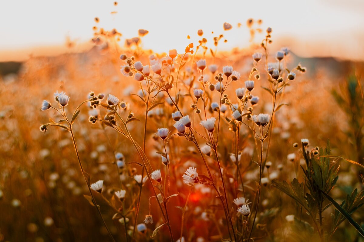 https://www.pexels.com/ru-ru/photo/2781760/