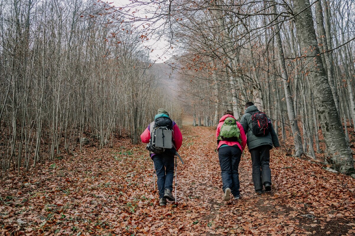 Вверх к лыжной трассе