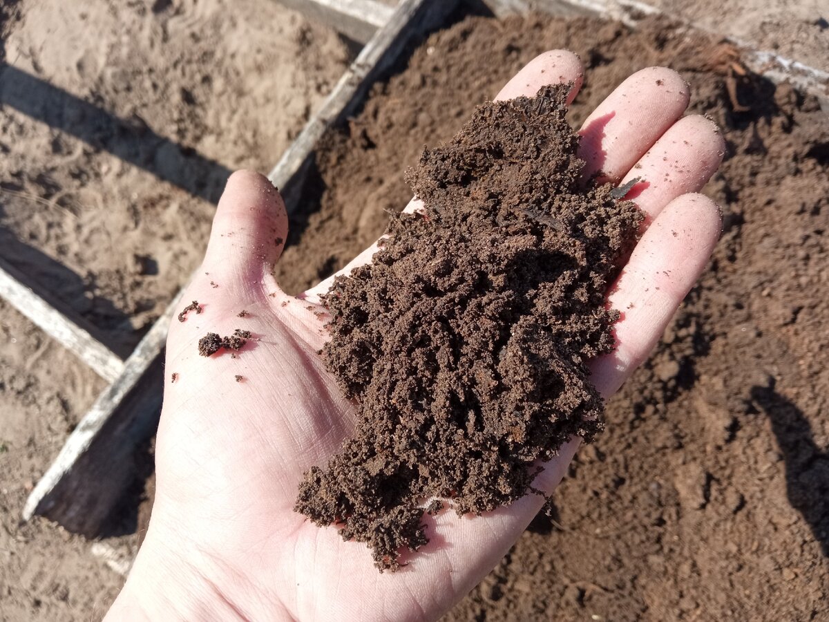 Созревший компост