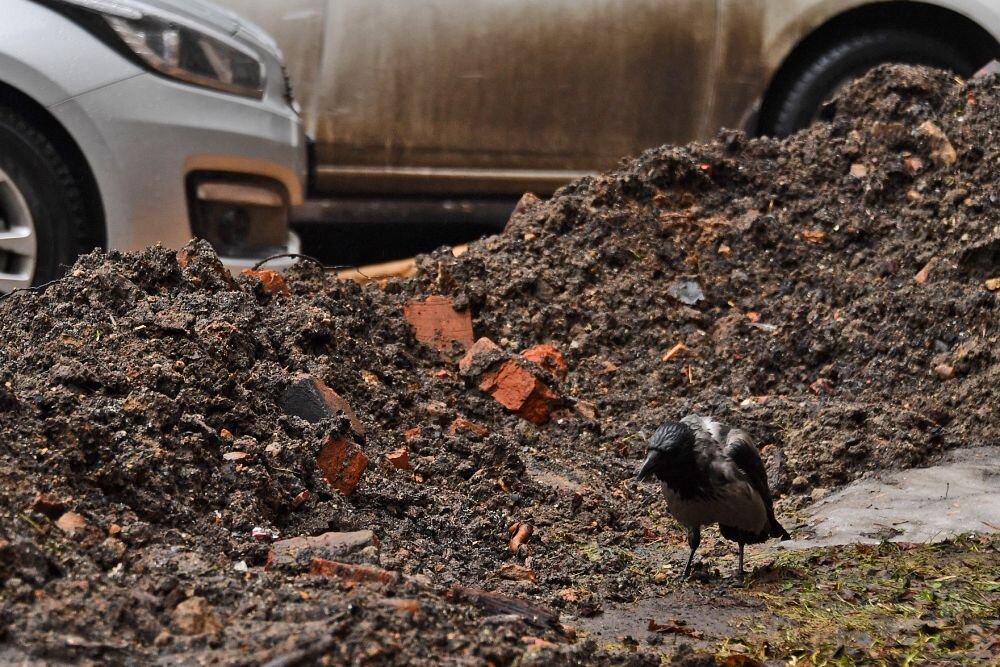 Из 76 регионов России Волгоград занял 74 место в рейтинге по качеству жизни в городах с населением более 250 тысяч человек
