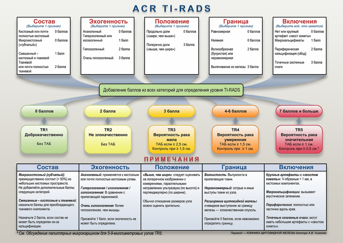 Ti rads 3 в щитовидной. Классификация Tirads щитовидная железа УЗИ. Щитовидная железа классификация ti-rads. Классификация ti-rads для УЗИ. Классификация Tirads щитовидная железа.