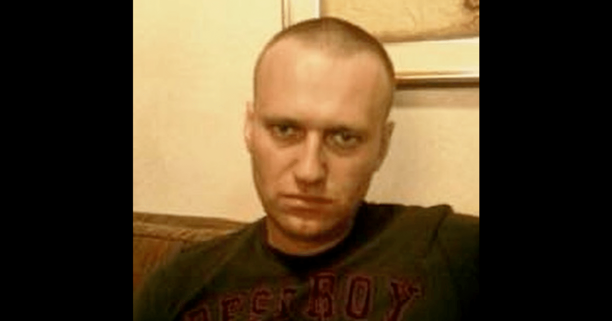 Яндекс картики