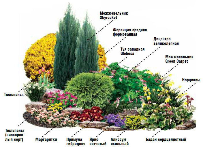 Ландшафтный дизайн с примулой садовой многолетней — посадка и уход