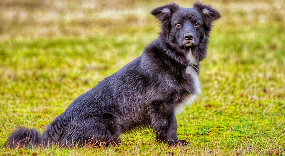 Источник яндекс картинки