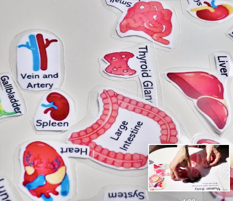 Автор фото: Дзен-канал SUPERMAMIO 