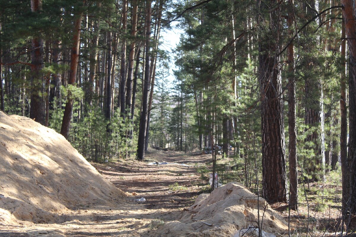 Под опилками снег. 