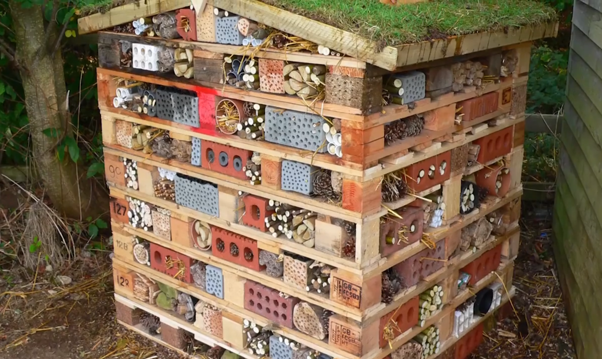 Домик для насекомых своими руками