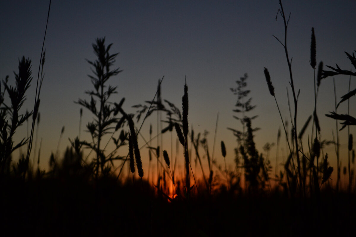 Фото из личного архива 