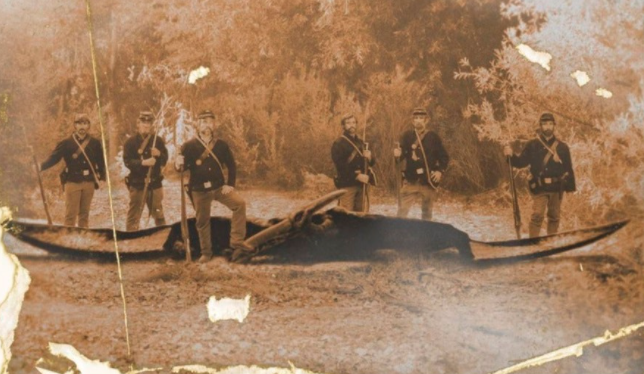 Солдаты времен Гражданской войны в США (1861—1865 годы) позируют с чем-то, очень похожим на мертвого птерозавра.