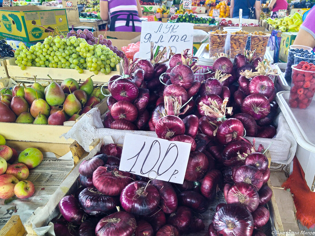 Ялтинский лук - самый загадочный крымский продукт | Дневник отчаянных  пенсионеров | Дзен