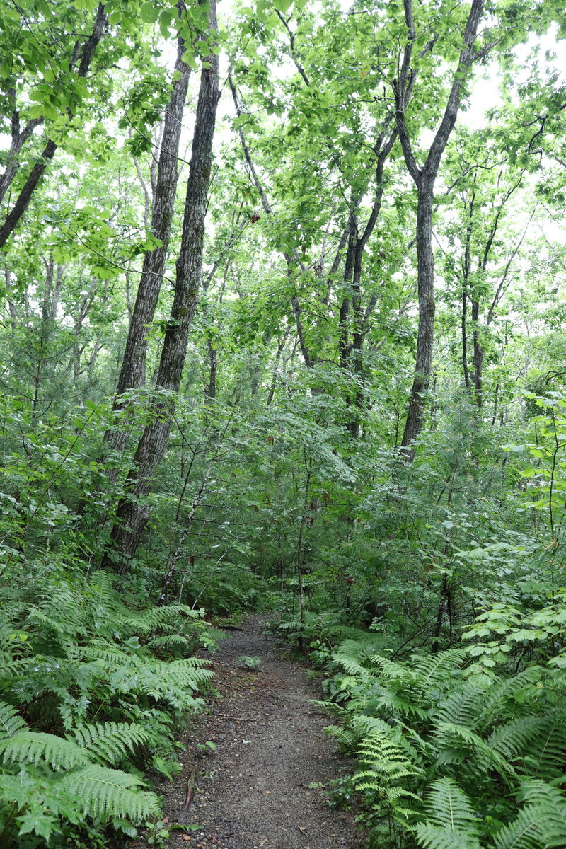 фото автора Елены М.