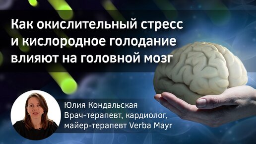 Окислительный стресс и кислородное голодание — их влияние на головной мозг