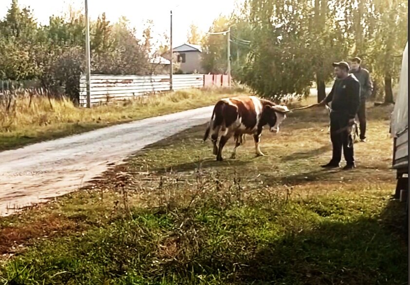 ФОРУМ Мастеров на все руки!