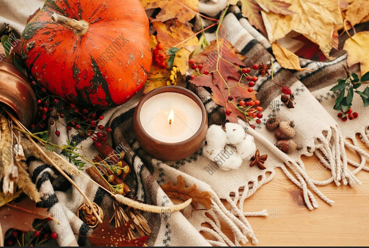 © Источник фото: Яндекс. Картинки