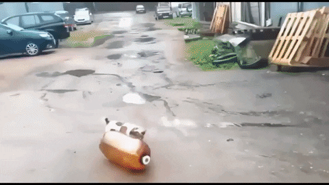 фрагмент того самого видео