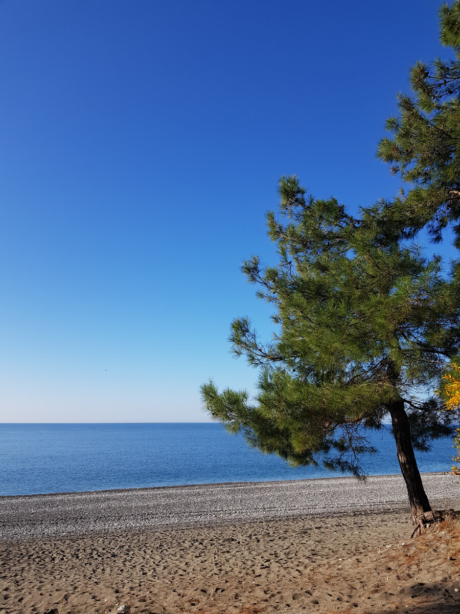 Фото автора Пицунда