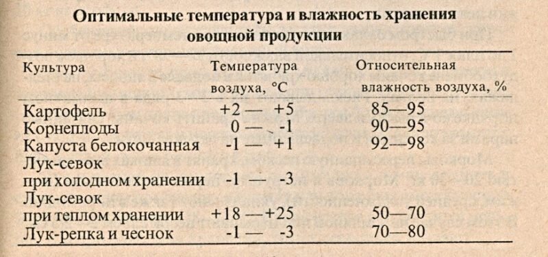 Где и как хранить торт, пирожные. Правильное хранение тортов