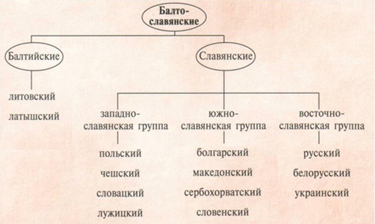 Славянское языковое. Балто Славянская группа. Балто-славянские языки. Славянская группа индоевропейской семьи языков. Классификация славян