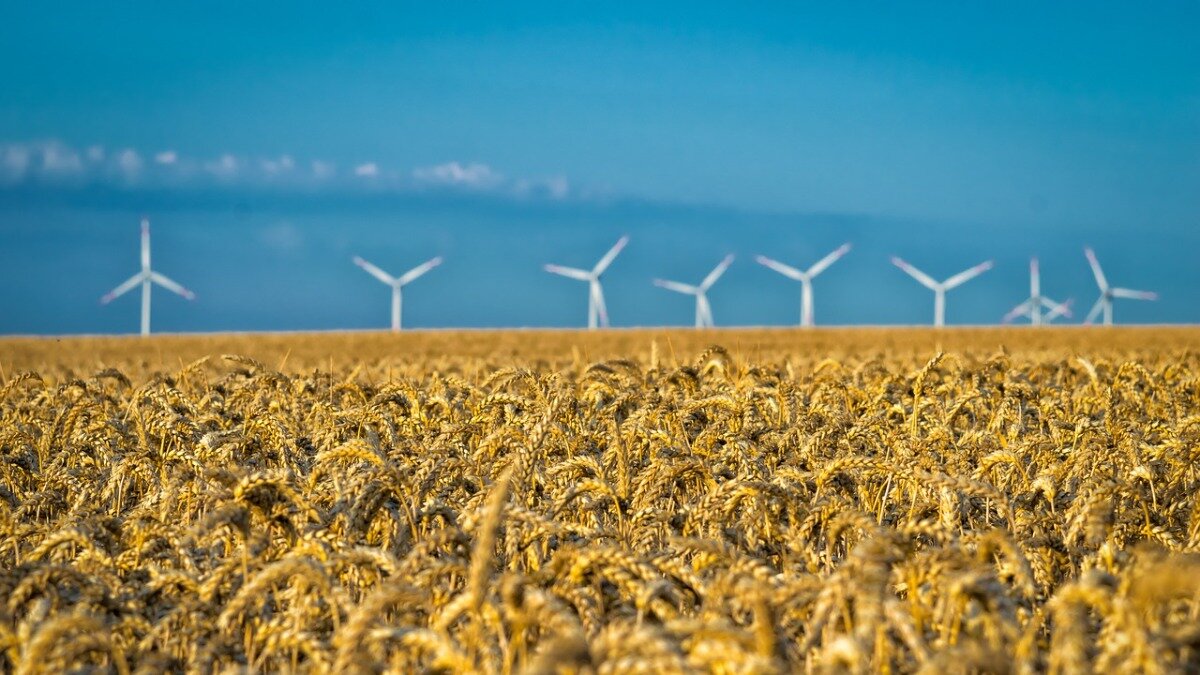 Фото:pixabay.com Опубликован первый прогноз урожая зерновых в ЕС в 2022 году